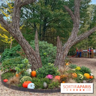 Les Esprits de la Forêt - IMG 5591