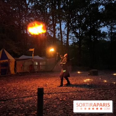 Les Esprits de la Forêt - IMG 5611