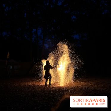 Les Esprits de la Forêt - IMG 5629