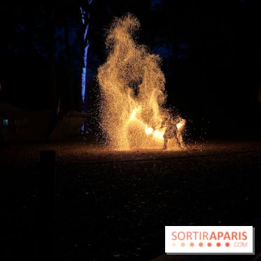 Les Esprits de la Forêt - IMG 5634