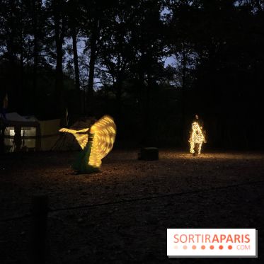 Les Esprits de la Forêt - IMG 5639