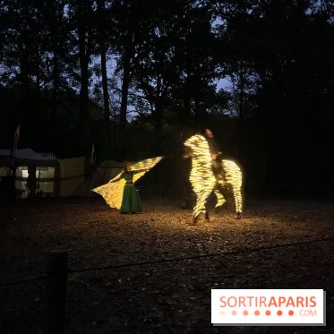 Les Esprits de la Forêt - IMG 5641