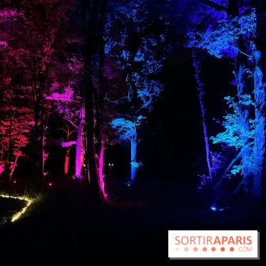 Les Esprits de la Forêt - IMG 5663