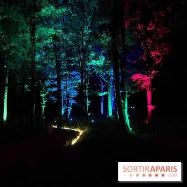 Les Esprits de la Forêt