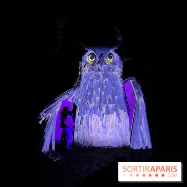 Les Esprits de la Forêt - IMG 5671