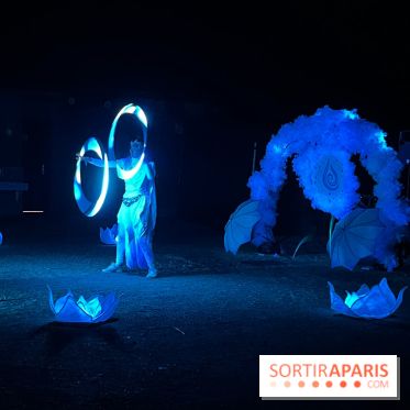 Les Esprits de la Forêt - IMG 5700