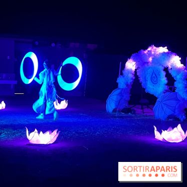 Les Esprits de la Forêt - IMG 5701