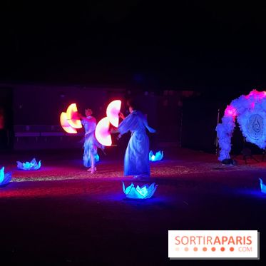 Les Esprits de la Forêt - IMG 5711