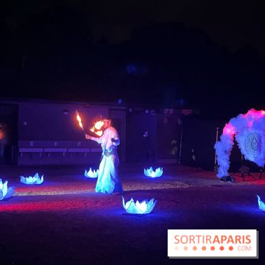 Les Esprits de la Forêt - IMG 5713