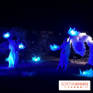 Les Esprits de la Forêt - IMG 5725