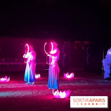 Les Esprits de la Forêt - IMG 5730