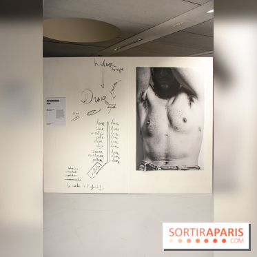 Trans*galactique : l'exposition célébrant les identités trans à la Gaité Lyrique - DSC 1805