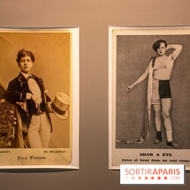 Trans*galactique : l'exposition célébrant les identités trans à la Gaité Lyrique - DSC 1812