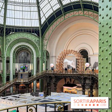 Art Basel 2024 au Grand Palais - image00029