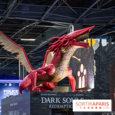 Paris Games Week 2024 - DSC 1870