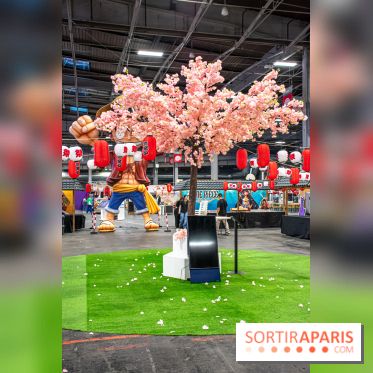 Paris Games Week 2024 - DSC 1904