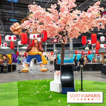 Paris Games Week 2024 - DSC 1905