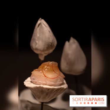 Hakuba, le restaurant japonais du Cheval Blanc Paris - les photos -  A7C4827