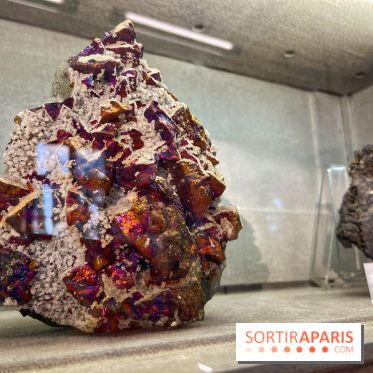 Musée de Minéralogie - IMG 5815