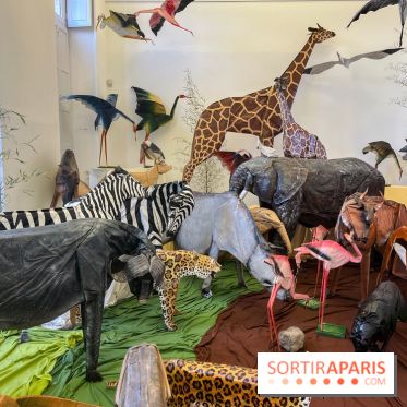 La faune en plis - nos photos - image00027