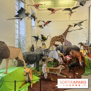 La faune en plis - nos photos - image00028