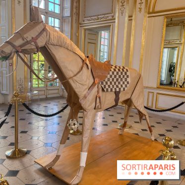 La faune en plis - nos photos - image00029