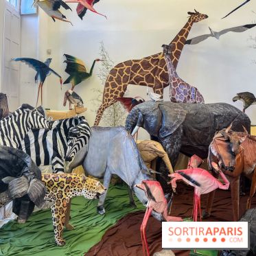 La faune en plis - nos photos - image00025