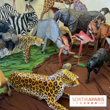 La faune en plis - nos photos - image00026