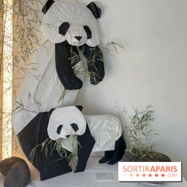 La faune en plis - nos photos