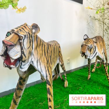 La faune en plis - nos photos - image00023