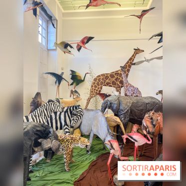 La faune en plis - nos photos - image00024