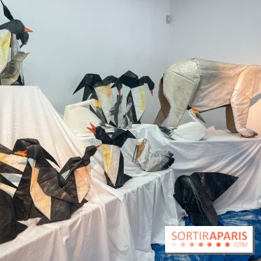 La faune en plis - nos photos - image00019