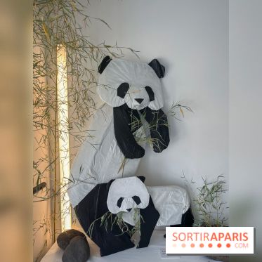 La faune en plis - nos photos