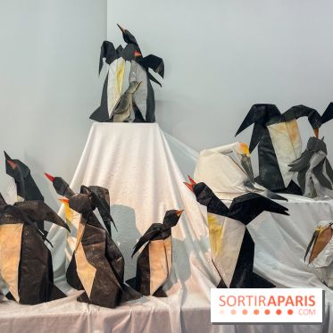 La faune en plis - nos photos - image00018