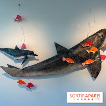 La faune en plis - nos photos - image00015