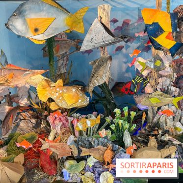 La faune en plis - nos photos - image00012