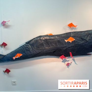 La faune en plis - nos photos - image00010