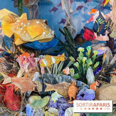 La faune en plis - nos photos - image00011