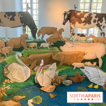 La faune en plis - nos photos - image00007