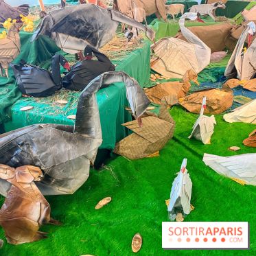 La faune en plis - nos photos - image00008