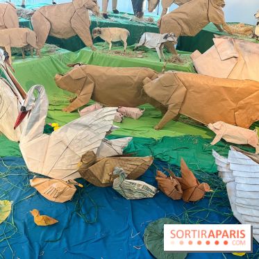 La faune en plis - nos photos - image00004