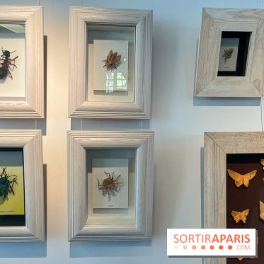 La faune en plis - nos photos - image00005