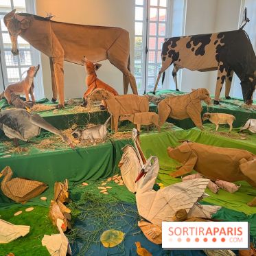 La faune en plis - nos photos - image00006