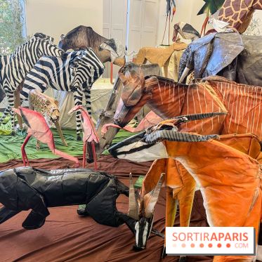 La faune en plis - nos photos - image00001