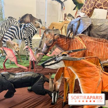 La faune en plis - nos photos - image00002