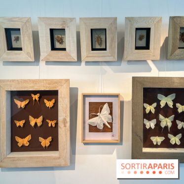 La faune en plis - nos photos - image00003