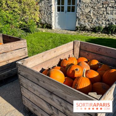 La Fête de la Citrouille - nos photos - image00031