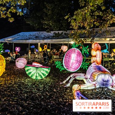 Thoiry Lumières Sauvages 2024, les Voyages Extraordinaires de Jules Verne - photos