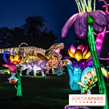 Thoiry Lumières Sauvages 2024, les Voyages Extraordinaires de Jules Verne - photos