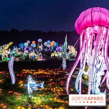 Thoiry Lumières Sauvages 2024, les Voyages Extraordinaires de Jules Verne - photos